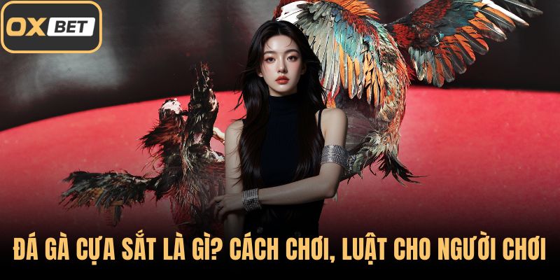 Đá gà cựa sắt