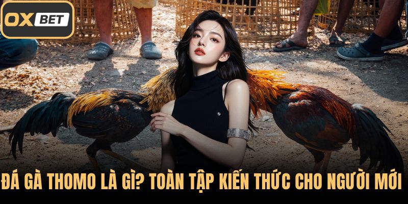 Đá gà Thomo